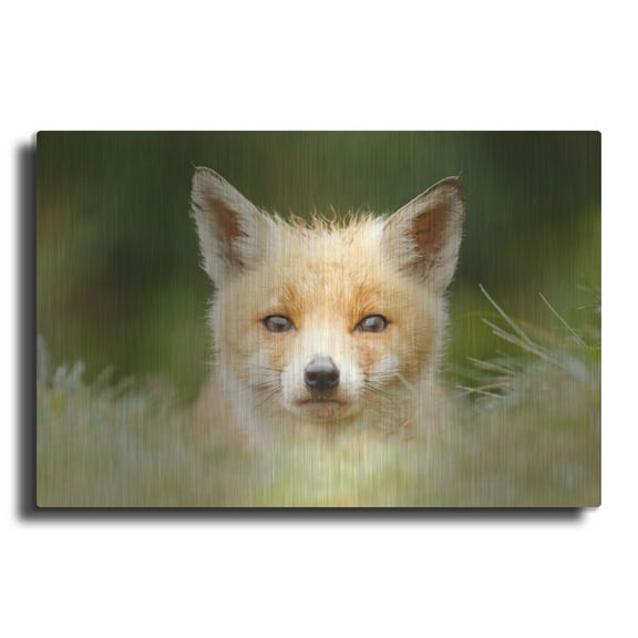 Luxe Metal Art ' Bad Fur Day' by Roeselien Raimond, Metal Wall Art, 16"x12"