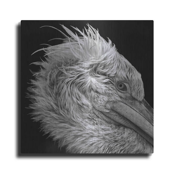Luxe Metal Art 'Bad Hairday' by Epic Portfolio Metal Wall Art, 36"x36"