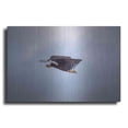 thumbnail image 1 of Luxe Metal Art 'Bald Eagle Soas' by Epic Portfolio, Metal Wall Art, 24"x16", 1 of 8