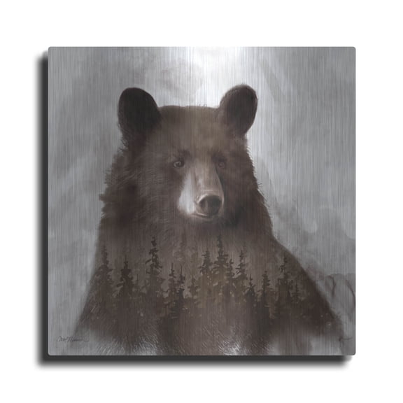 Luxe Metal Art 'Bear Mountain' by Carol Robinson, Metal Wall Art, 24"x24"