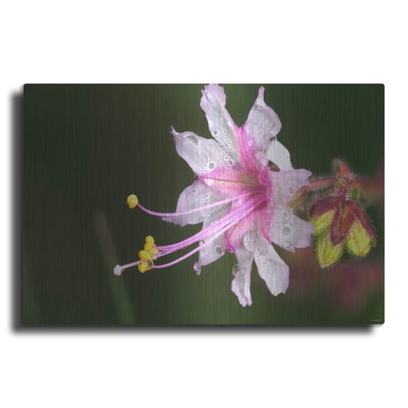 Luxe Metal Art 'Beautiful Flora' by Gordon Semmens, Metal Wall Art, 36"x24"