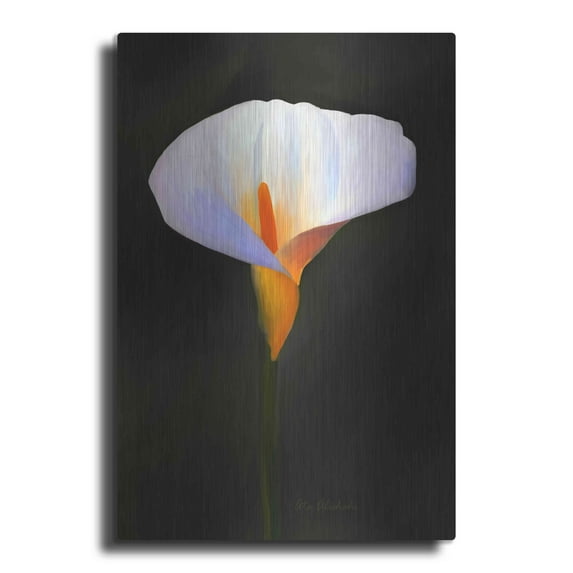 Luxe Metal Art 'Beautiful Flower' by Ata Alishahi, Metal Wall Art, 24"x36"
