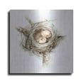thumbnail image 1 of Luxe Metal Art 'Bird Nest Study I' by Ethan Harper, Metal Wall Art, 12"x12", 1 of 9