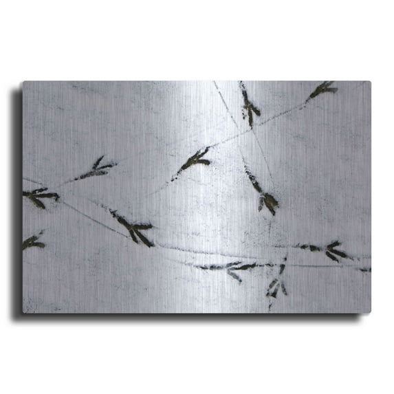 Luxe Metal Art 'Bird's footprints' by Luxe Portfolio, Metal Wall Art, 24"x16"