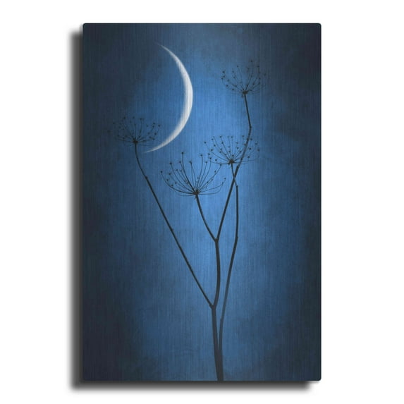 Luxe Metal Art 'Blue Crescent Moon' by Philippe Sainte-Laudy, Metal Wall Art, 24"x36"