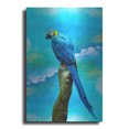 thumbnail image 1 of Luxe Metal Art 'Blue Parrot' by Ata Alishahi, Metal Wall Art, 12"x16", 1 of 9