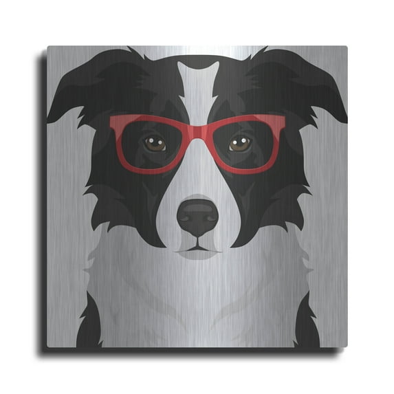 Luxe Metal Art 'Border Collie Wearing Hipster Glasses' by Furbaby Affiliates, Metal Wall Art, 24"x24"