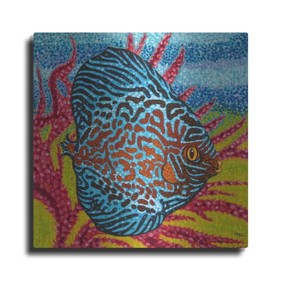 Luxe Metal Art 'Brilliant Tropical Fish II' by Carolee Vitaletti Metal Wall Art, 12"x12"