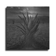 thumbnail image 1 of Luxe Metal Art 'Cactus' by Dariusz Klimczak, Metal Wall Art, 24"x24", 1 of 8