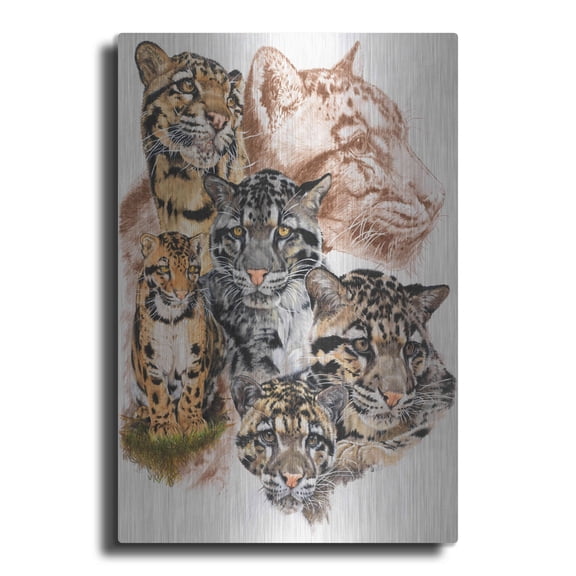 Luxe Metal Art 'Clouded Leopard with Ghost Image' by Barbara Keith, Metal Wall Art, 12"x16"