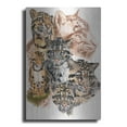 thumbnail image 1 of Luxe Metal Art 'Clouded Leopard with Ghost Image' by Barbara Keith, Metal Wall Art, 16"x24", 1 of 9