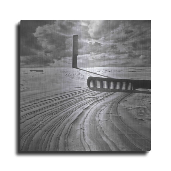 Luxe Metal Art 'Combing the Dunes' by Dariusz Klimczak, Metal Wall Art, 24"x24"