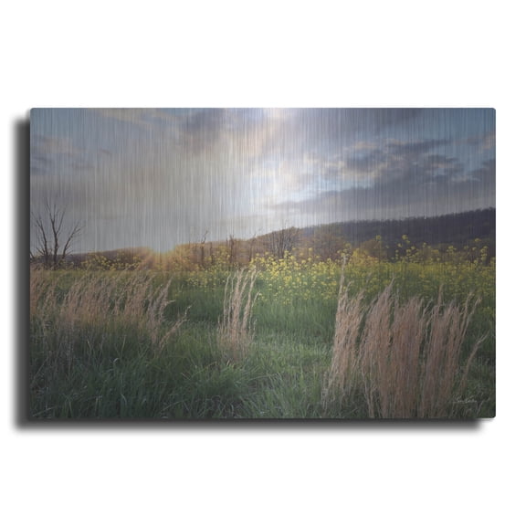 Luxe Metal Art 'Country Sunset ' by Lori Deiter, Metal Wall Art, 16"x12"