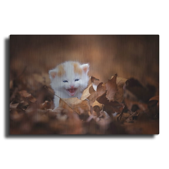 Luxe Metal Art 'Crying In The Leaves' by Jonathan Ross, Metal Wall Art, 16"x12"