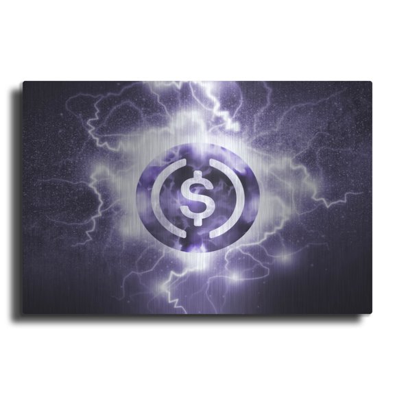 Luxe Metal Art 'Crypto Eclipse Usdc' by Luxe Portfolio, Metal Wall Art, 36"x24"