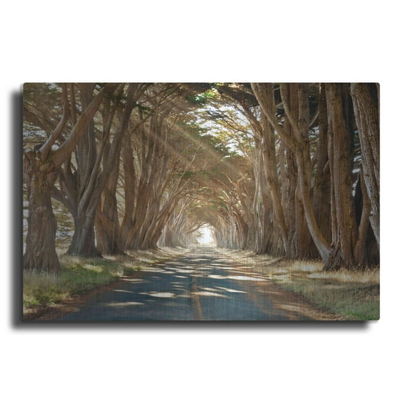 Luxe Metal Art 'Cypresses' by Alan Klug, Metal Wall Art, 16"x12"