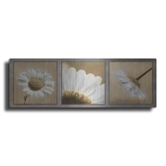 Luxe Metal Art 'Daisy Trio' by Lori Deiter, Metal Wall Art, 36"x12"