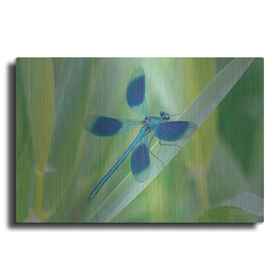 Luxe Metal Art 'Damselfly in Blue' by Martin Podt, Metal Wall Art, 36" x 24"
