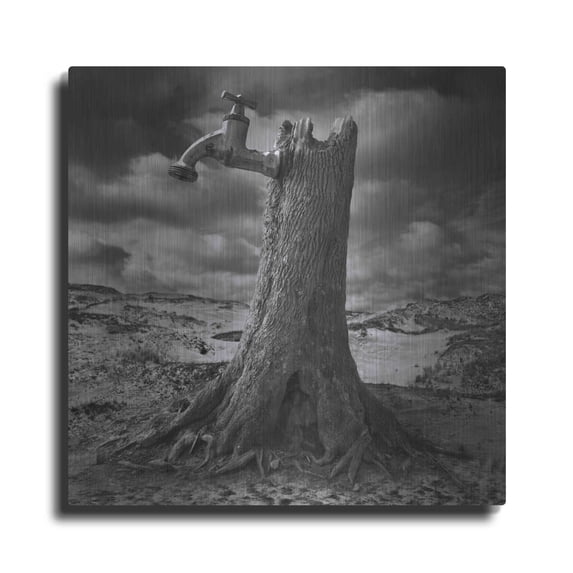 Luxe Metal Art 'Dry' by Dariusz Klimczak, Metal Wall Art, 36"x36"