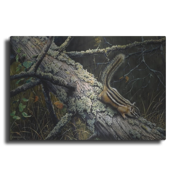 Luxe Metal Art 'Eastern Chipmunk' by Harro Maass, Metal Wall Art, 16"x12"