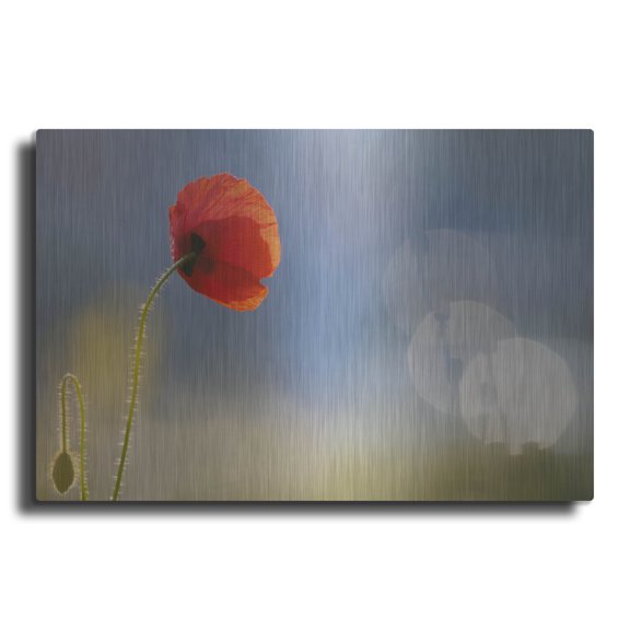 Luxe Metal Art ' Echoes' by Roeselien Raimond, Metal Wall Art, 24"x16"