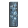 thumbnail image 1 of Luxe Metal Art 'Evening Off White Floral 2'  by Silvia Vassileva Metal Wall Art, 12" x 36", 1 of 9