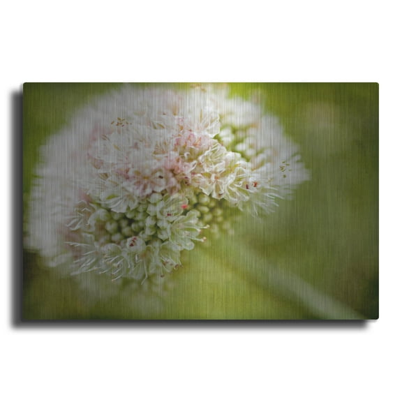 Luxe Metal Art 'Ever So Softly' by Jessica Rogers, Metal Wall Art, 36"x24"