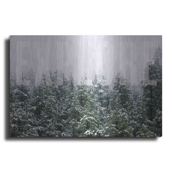 Luxe Metal Art 'Explore' by Susan Ball, Metal Wall Art, 36"x24"