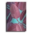 thumbnail image 1 of Luxe Metal Art 'Ficus Elastica 4' by Mark Ashkenazi, Metal Wall Art, 24"x36", 1 of 9