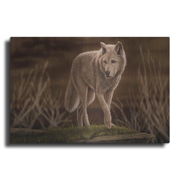 Luxe Metal Art 'First Light 2' by Gordon Semmens Metal Wall Art, 16" x 12"