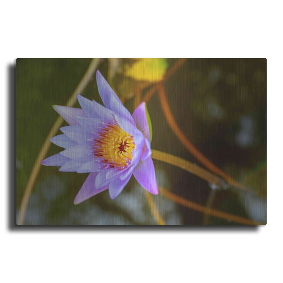 Luxe Metal Art 'Floral Color Theory' by Luxe Portfolio, Metal Wall Art, 24"x16"