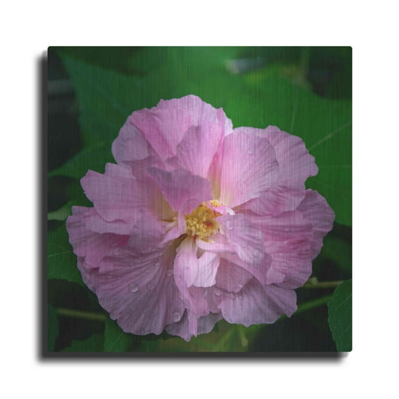 Luxe Metal Art 'Flower' by Luxe Portfolio, Metal Wall Art, 24"x24"