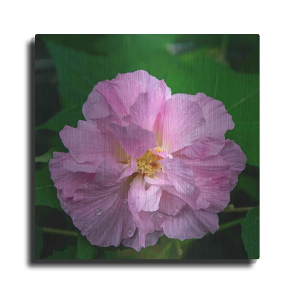 Luxe Metal Art 'Flower' by Luxe Portfolio, Metal Wall Art, 36"x36"