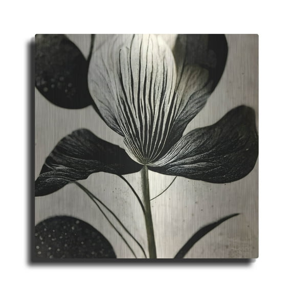 Luxe Metal Art 'Flowers Black White 26' by Ray Heere, Metal Wall Art, 12"x12"