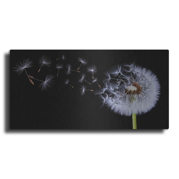 Luxe Metal Art 'Flying Dandelion', Metal Wall Art, 24"x12"