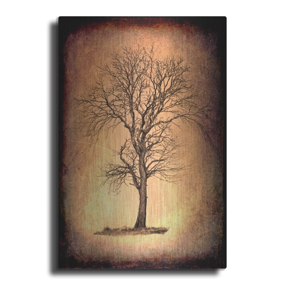 Luxe Metal Art 'For the Love of Trees II' by Lightbox Journal, Metal Wall Art, 16"x24"