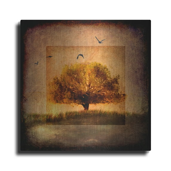 Luxe Metal Art 'For the Love of Trees III' by Lightbox Journal, Metal Wall Art, 12"x12"
