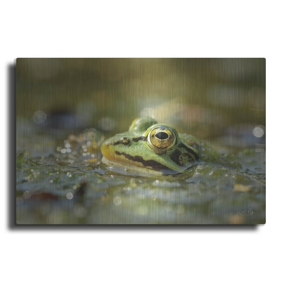Luxe Metal Art 'Frog' by Martin Podt, Metal Wall Art, 24" x 16"