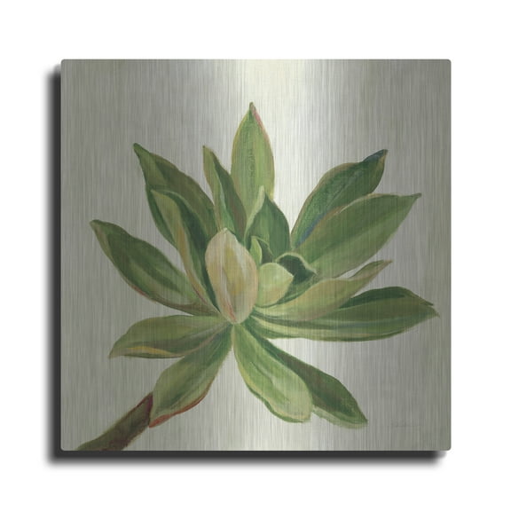 Luxe Metal Art 'Front Yard Succulent I' by Silvia Vassileva, Metal Wall Art, 24" x 24"