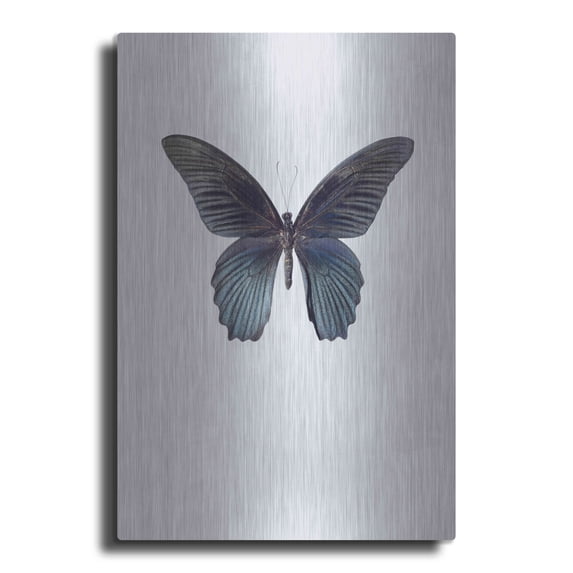 Luxe Metal Art 'Great Mormon' by Incado, Metal Wall Art, 16"x24"