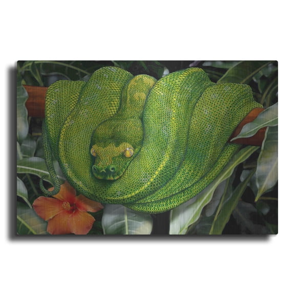 Luxe Metal Art 'Green Tree Python'  by Tim Jeffs Metal Wall Art, 16" x 12"