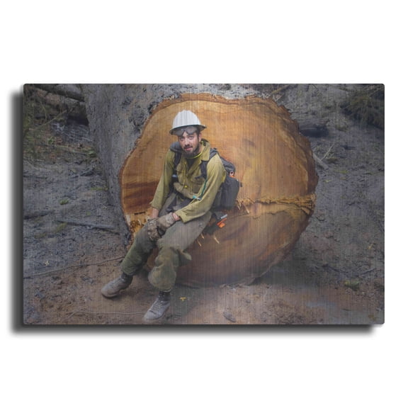Luxe Metal Art 'Halvey' by Thomas Haney, Metal Wall Art, 16"x12"
