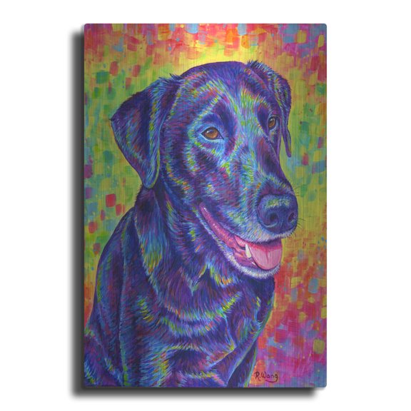 Luxe Metal Art 'Happy Go Lucky' by Rebecca Wang Art, Acrylic Glass Wall Art, 16"x24"