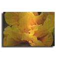 thumbnail image 1 of Luxe Metal Art 'Hibiscus Folds' by Chris Moyer, Metal Wall Art, 16"x12", 1 of 9