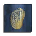 thumbnail image 1 of Luxe Metal Art 'Indigo Sea Treasure VII' by Carol Robinson, Metal Wall Art, 12"x12", 1 of 1