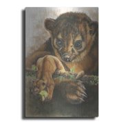 Luxe Metal Art 'Kinkajou' by Barbara Keith, Metal Wall Art, 16"x24"