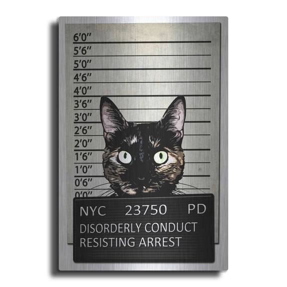Luxe Metal Art 'Kitty Mugshot' by Nicklas Gustafsson, Metal Wall Art, 12"x16"