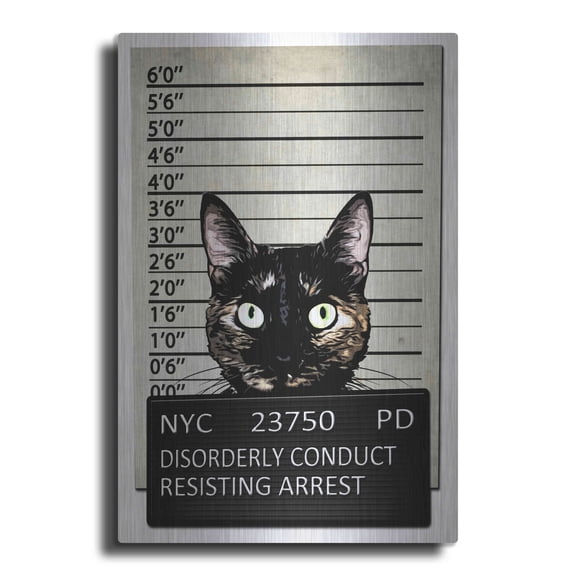 Luxe Metal Art 'Kitty Mugshot' by Nicklas Gustafsson, Metal Wall Art, 16"x24"