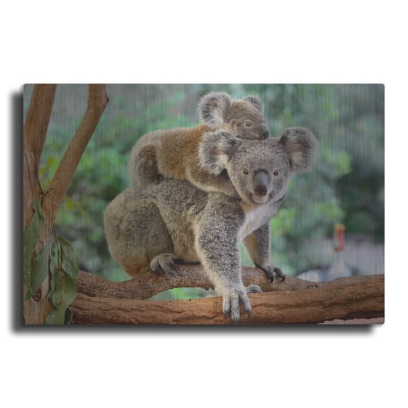 Luxe Metal Art 'Koala' by Luxe Portfolio, Metal Wall Art, 36"x24"