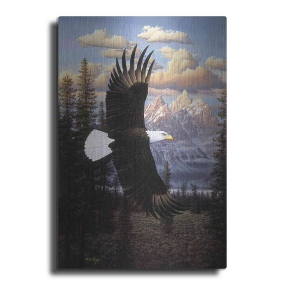 Luxe Metal Art 'Land Of The Free' by R. Hed, Metal Wall Art, 16"x24"
